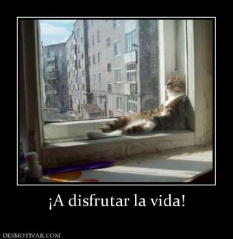¡A disfrutar la vida!