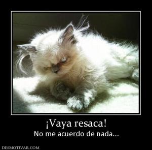 ¡Vaya resaca! No me acuerdo de nada...