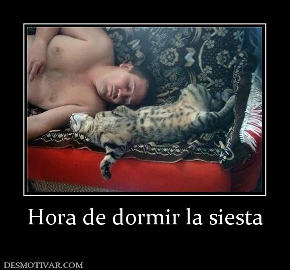 Hora de dormir la siesta