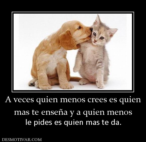 A veces quien menos crees es quien mas te enseña y a quien menos  le pides es quien mas te da.