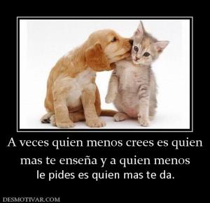 A veces quien menos crees es quien mas te enseña y a quien menos  le pides es quien mas te da.