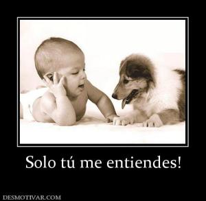Solo tú me entiendes!