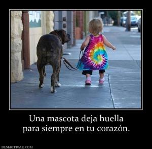 Una mascota deja huella para siempre en tu corazón.