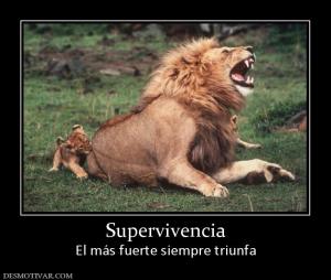 Supervivencia El más fuerte siempre triunfa