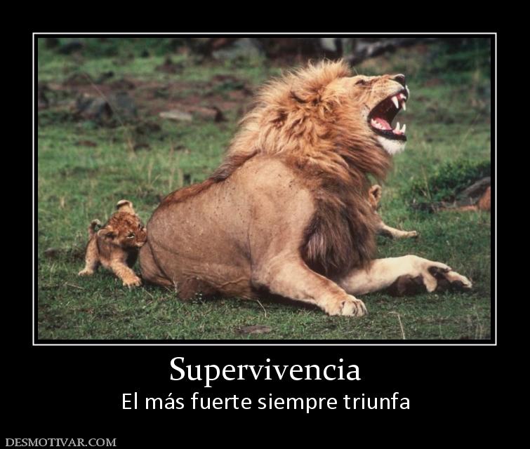 Supervivencia El más fuerte siempre triunfa