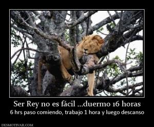 Ser Rey no es fácil ...duermo 16 horas 6 hrs paso comiendo, trabajo 1 hora y luego descanso