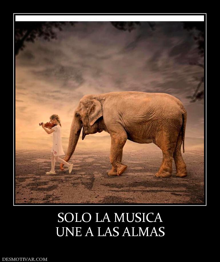 SOLO LA MUSICA UNE A LAS ALMAS
