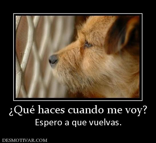 ¿Qué haces cuando me voy? Espero a que vuelvas.