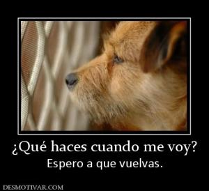 ¿Qué haces cuando me voy? Espero a que vuelvas.