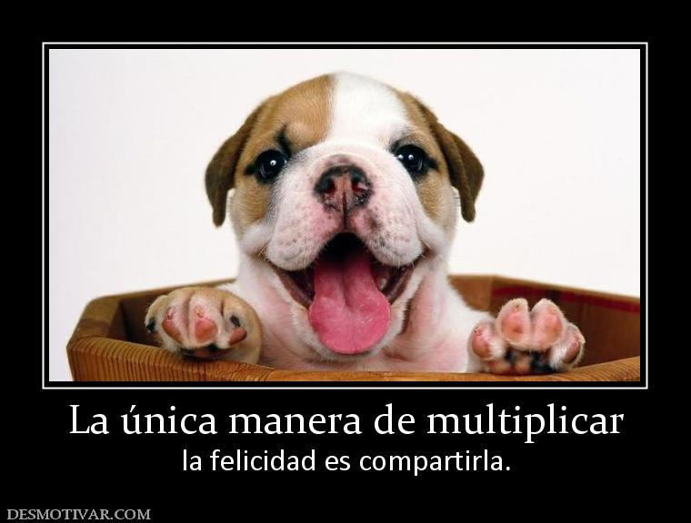 La única manera de multiplicar la felicidad es compartirla.