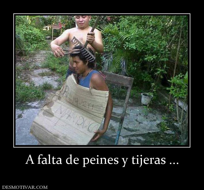 A falta de peines y tijeras ...