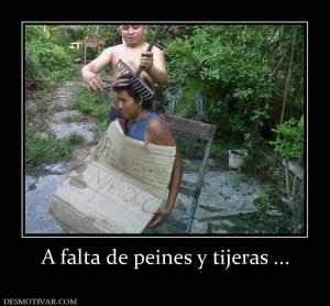 A falta de peines y tijeras ...