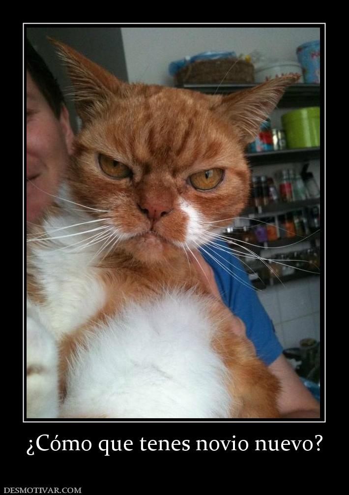 ¿Cómo que tenes novio nuevo?