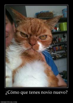 ¿Cómo que tenes novio nuevo?