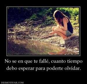 No se en que te fallé, cuanto tiempo debo esperar para poderte olvidar.