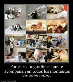 Por esos amigos fieles que te  acompañan en todos los momentos sean buenos o malos...