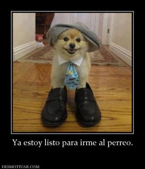 Ya estoy listo para irme al perreo.
