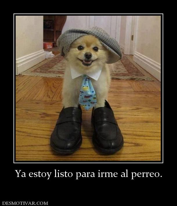 Ya estoy listo para irme al perreo.