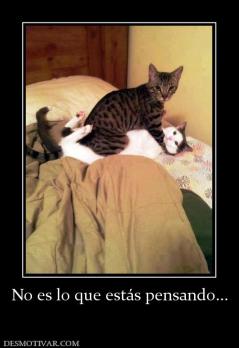 No es lo que estás pensando...