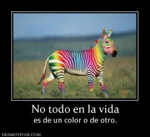 No todo en la vida es de un color o de otro.