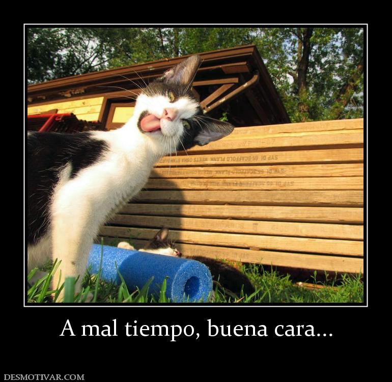 A mal tiempo, buena cara...
