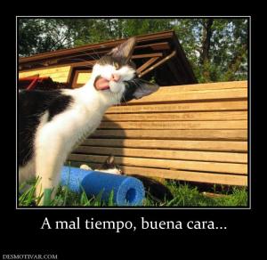 A mal tiempo, buena cara...