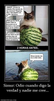 Simur: Odio cuando digo la  verdad y nadie me cree...
