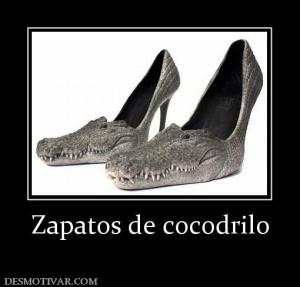 Zapatos de cocodrilo