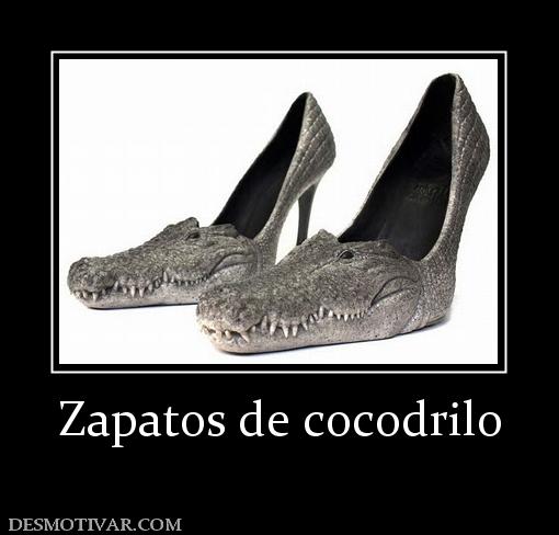 Zapatos de cocodrilo