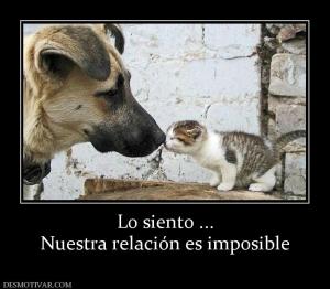 Lo siento ... Nuestra relación es imposible