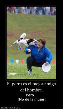 El perro es el mejor amigo del hombre. Pero... ¡No de la mujer!