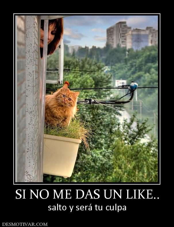 SI NO ME DAS UN LIKE.. salto y será tu culpa