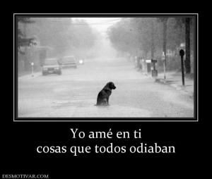 Yo amé en ti cosas que todos odiaban