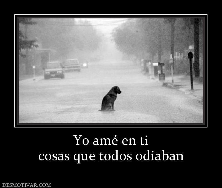 Yo amé en ti cosas que todos odiaban