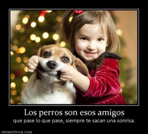 Los perros son esos amigos que pase lo que pase, siempre te sacan una sonrisa.