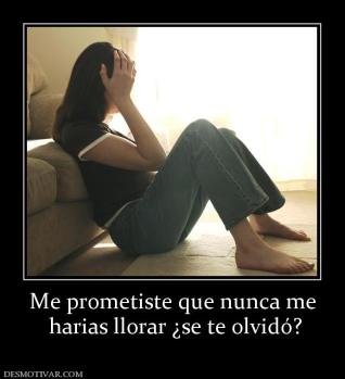 Me prometiste que nunca me  harias llorar ¿se te olvidó?