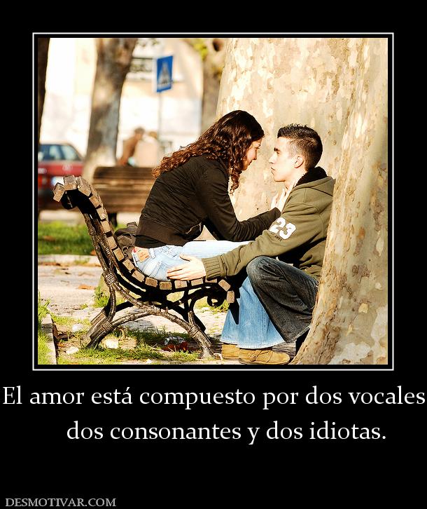 El amor está compuesto por dos vocales     dos consonantes y dos idiotas.