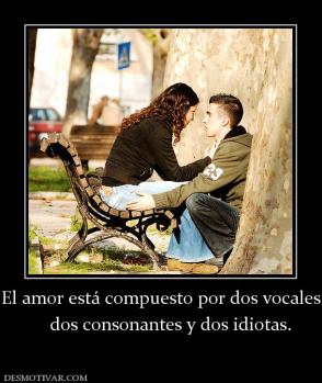 El amor está compuesto por dos vocales     dos consonantes y dos idiotas.