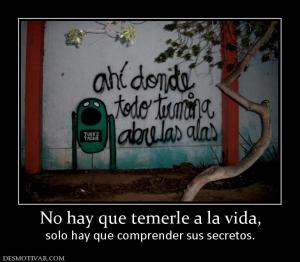 No hay que temerle a la vida, solo hay que comprender sus secretos.