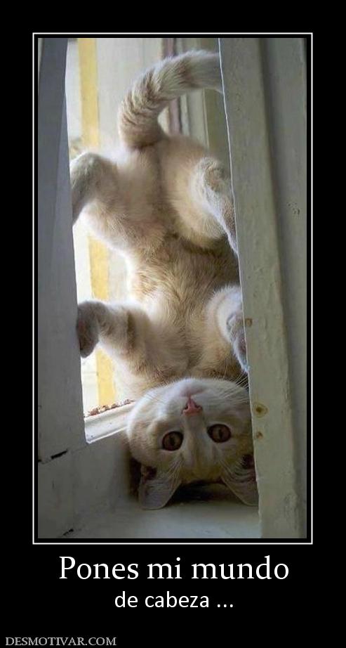 Pones mi mundo de cabeza ...