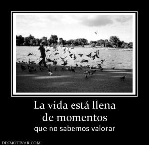 La vida está llena de momentos que no sabemos valorar