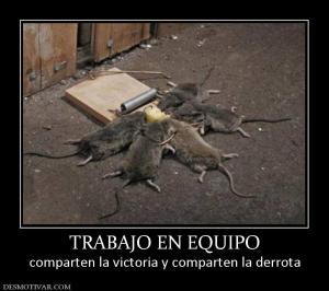 TRABAJO EN EQUIPO comparten la victoria y comparten la derrota