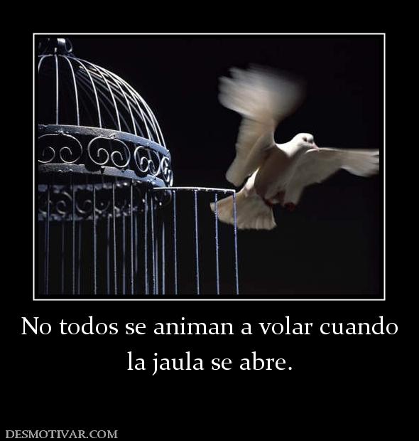 No todos se animan a volar cuando la jaula se abre.