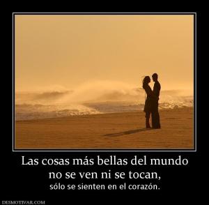 Las cosas más bellas del mundo no se ven ni se tocan,  sólo se sienten en el corazón.