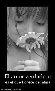 El amor verdadero es el que florece del alma