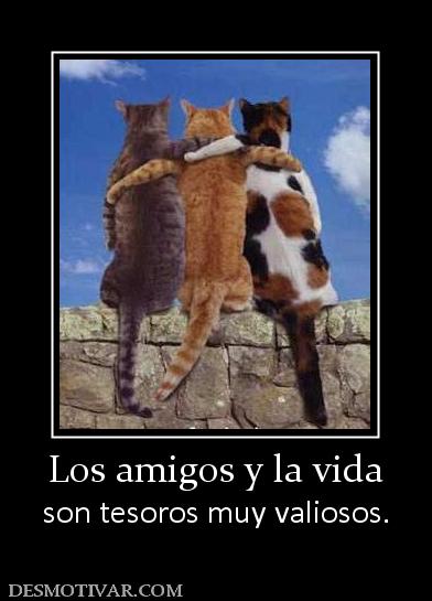 Los amigos y la vida son tesoros muy valiosos.