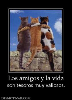 Los amigos y la vida son tesoros muy valiosos.
