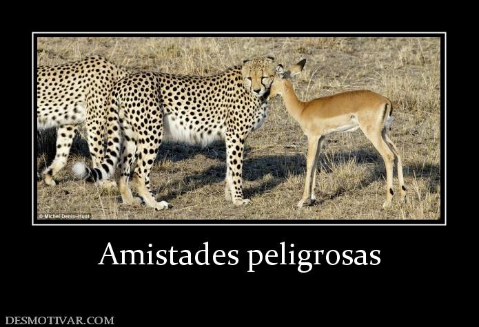 Amistades peligrosas