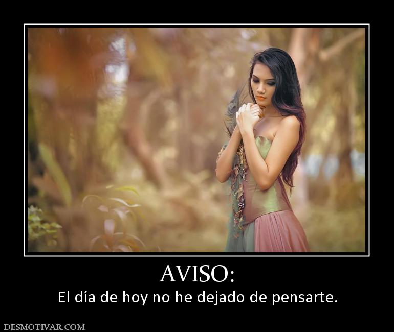 AVISO: El día de hoy no he dejado de pensarte.
