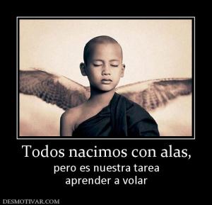 Todos nacimos con alas, pero es nuestra tarea aprender a volar